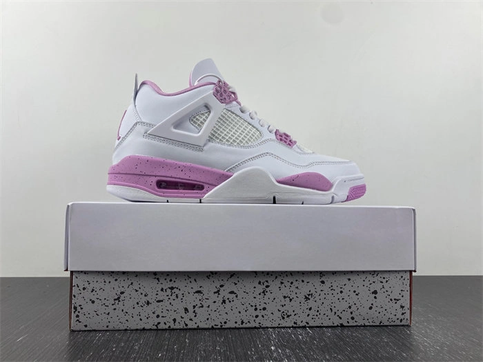 MultiPurpose Air Jordan 4 CT8527- 3930