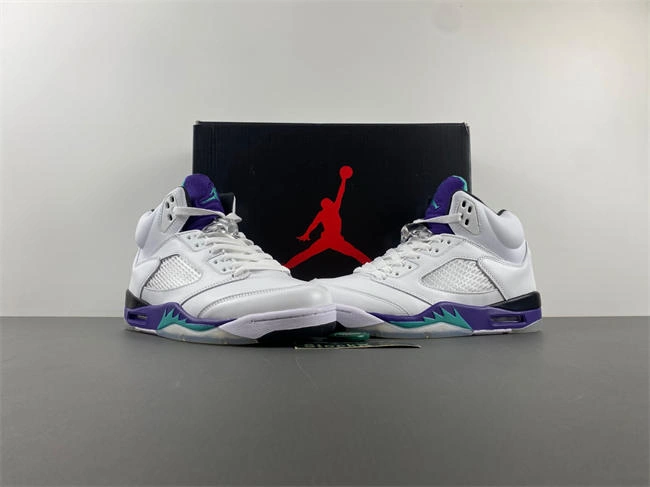 Sleek Air Jordan 5 Retro Grape 136027- 3989