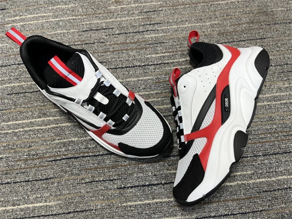 Dior B WellDesigned 1311