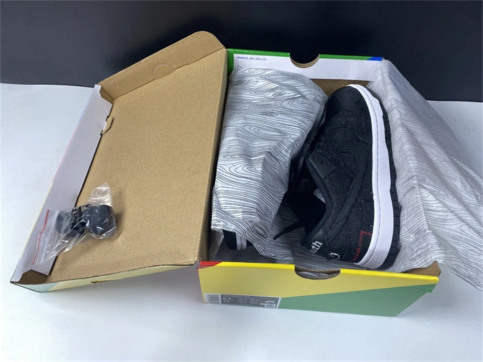 Nike SB Dunk Low Wasted Youth DD8386- HighPerformance 4869