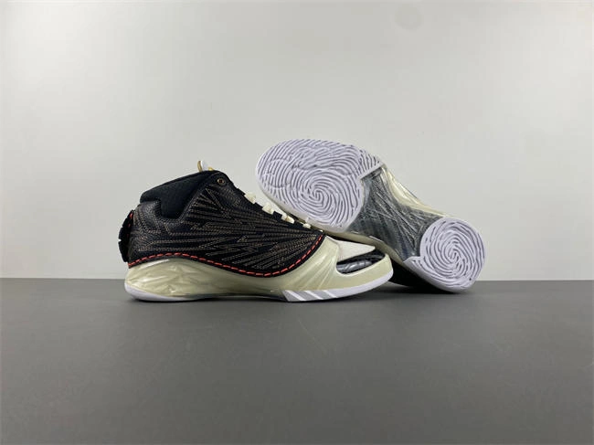 Titan x Air Jordan 23 CZ6222- SunProtective 5287